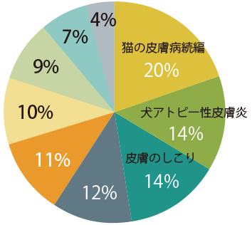 DSDC開院3周年記念セミナー